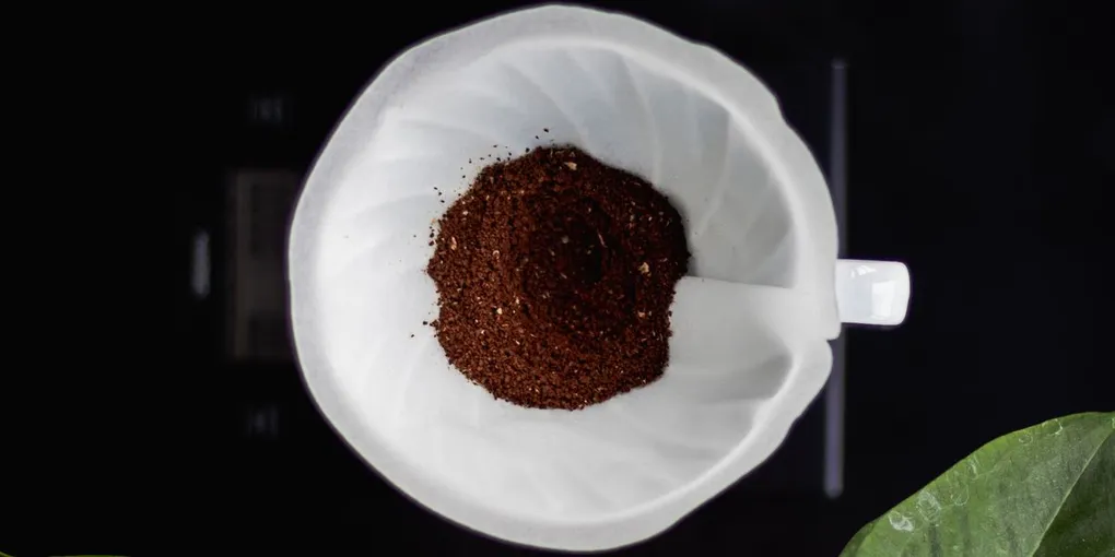 Can You Use Eggshells, Coffee Grounds, and Banana Peels as Fertilizer?