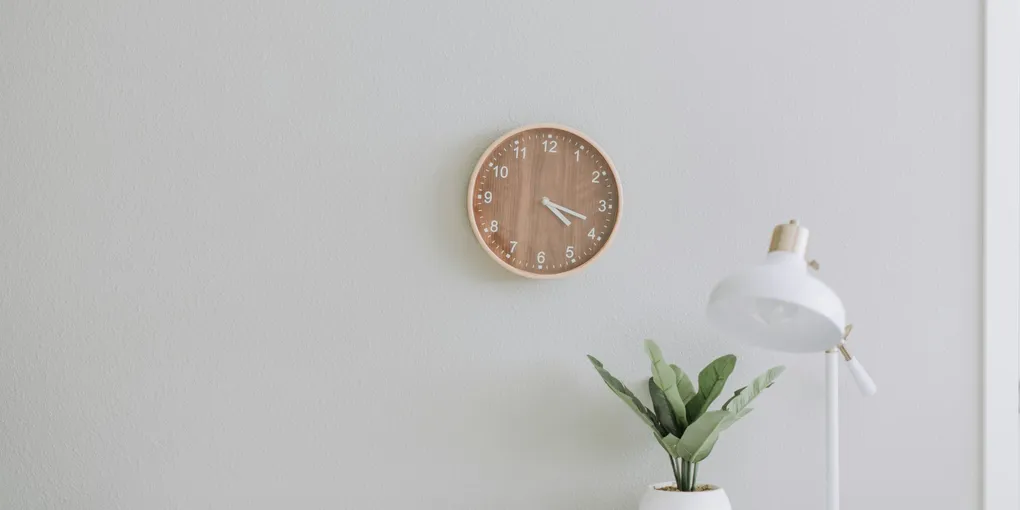 Do You Need a Grow Light for Houseplants?