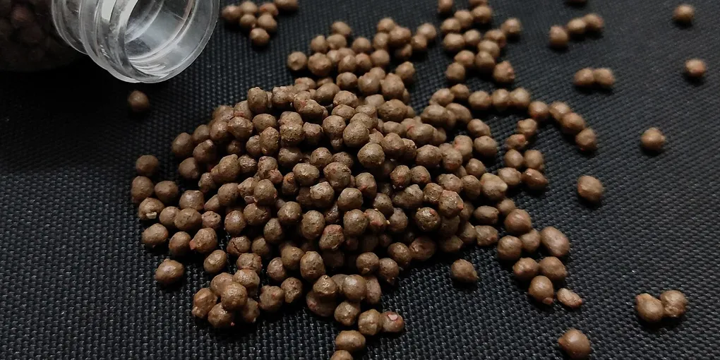 How to Choose the Right Fertilizer for Houseplants