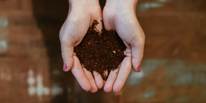 The Best Soil Mix for Houseplants (and Why Garden Dirt Fails)