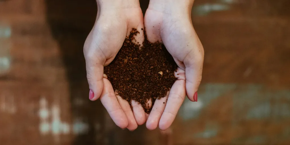 The Best Soil Mix for Houseplants (and Why Garden Dirt Fails)
