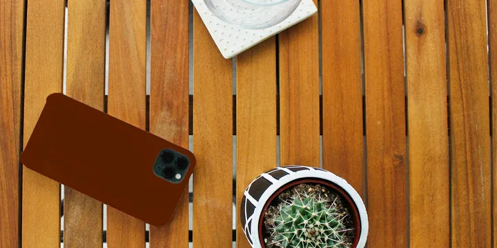 How to Use a Light Meter App for Houseplants