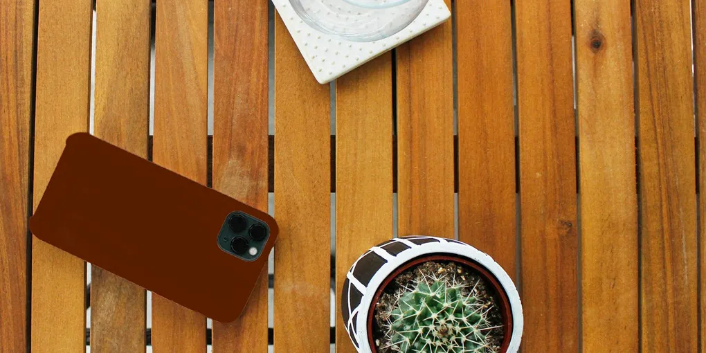 How to Use a Light Meter App for Houseplants