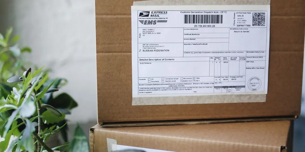 How to Care for a Plant You Just Received in the Mail