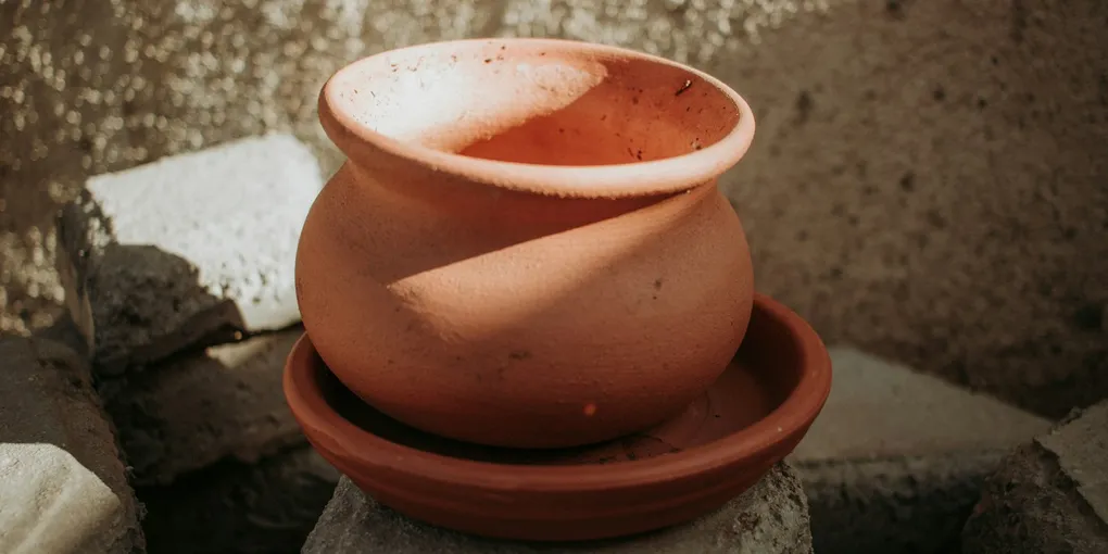 White Crust on Soil or Pots: What It Means and How to Fix It