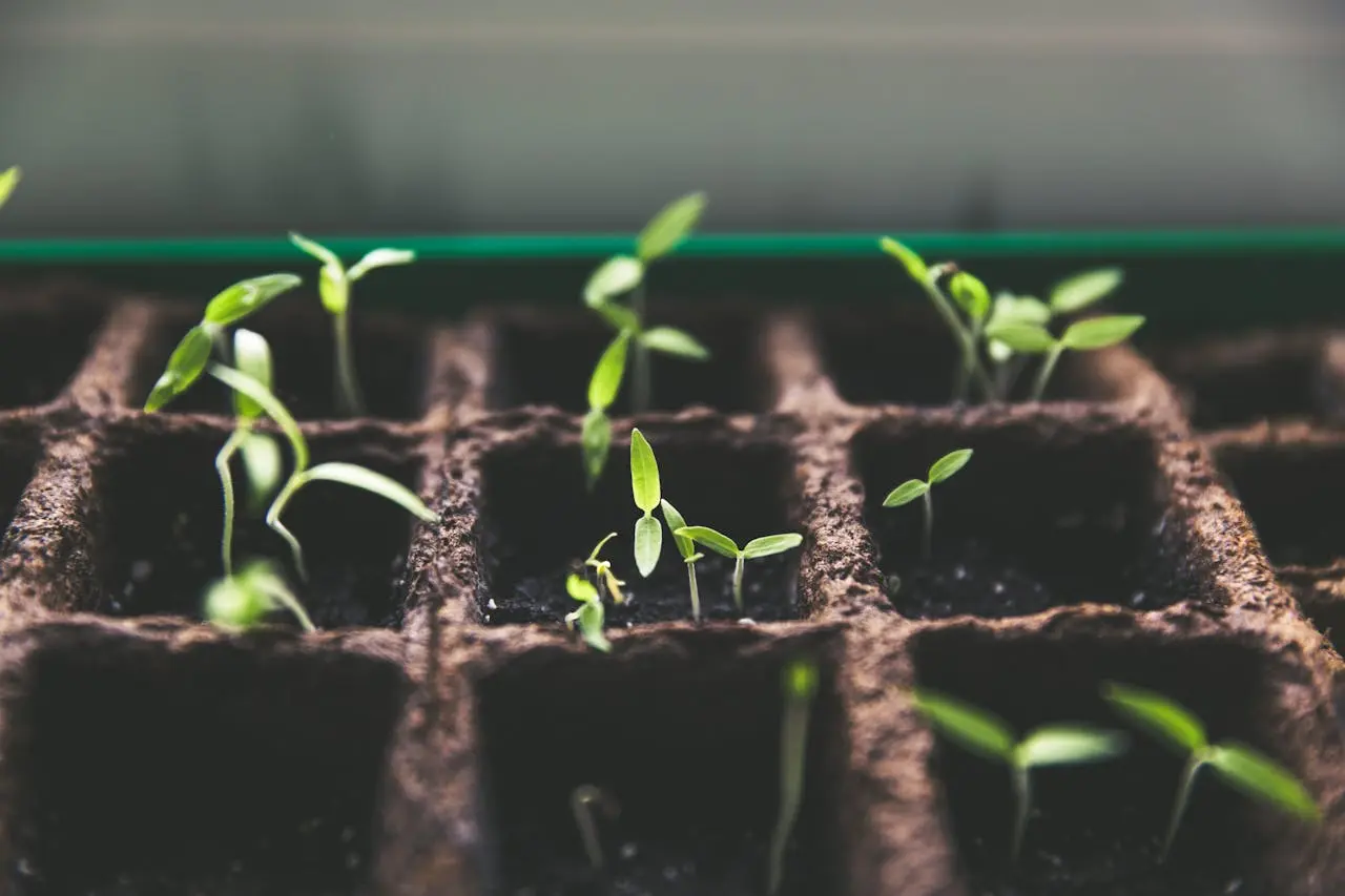 How Many Generations Can You Clone a Plant